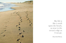Seaside Inspirations by CICO Books
