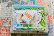Georgia Game Deck of Playing Cards
