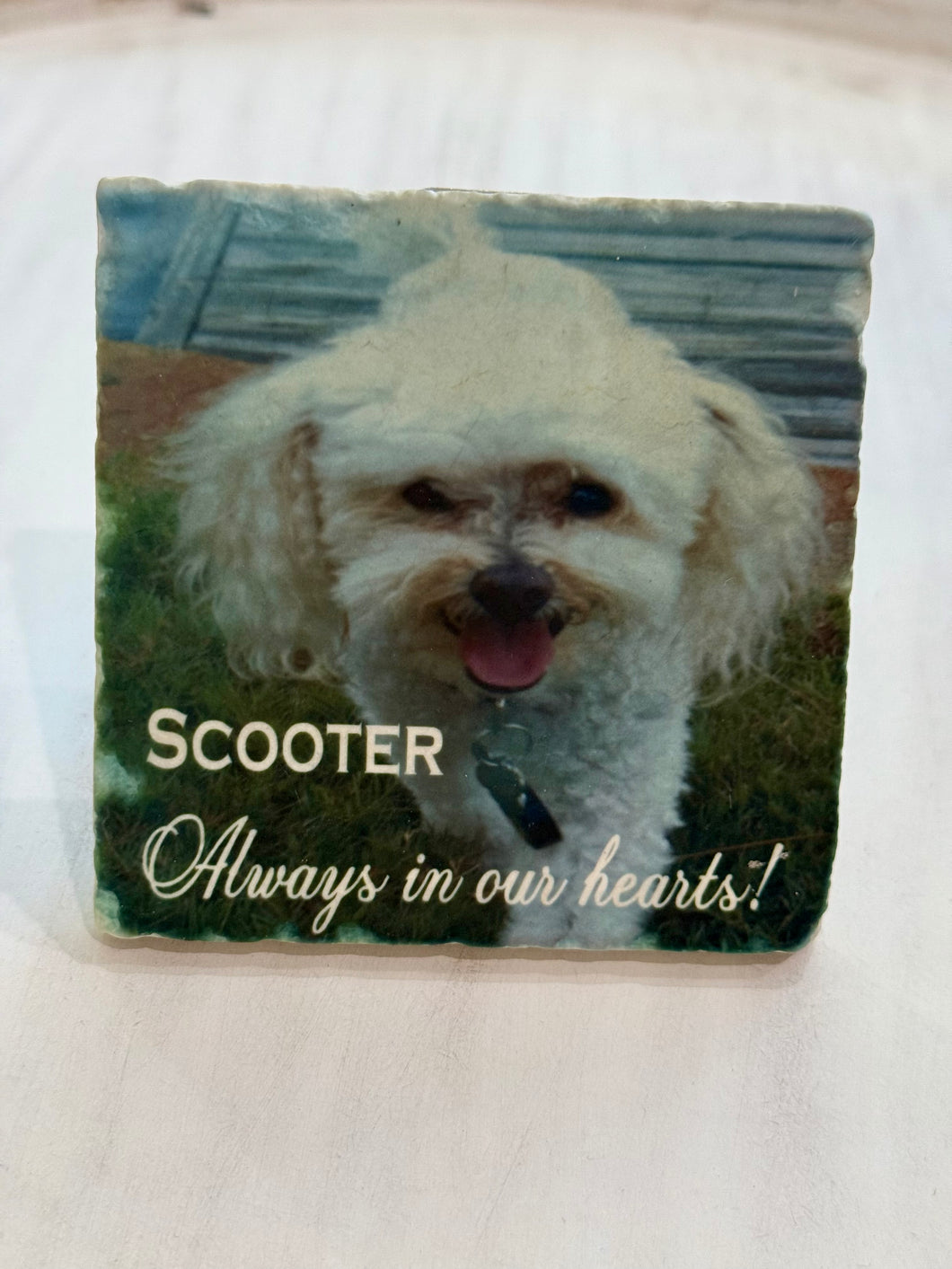 PAWsome In Loving Memory Pet Tile Keepsake