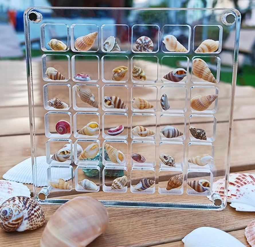 Acrylic Seashell Beach Display Box – Frill Seekers Gifts