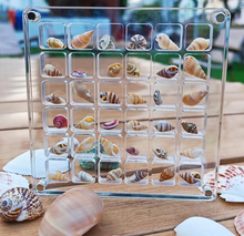 Acrylic Seashell Beach Display Box