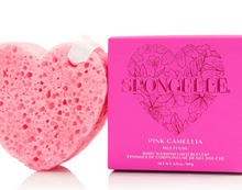 Pink Camellia Spongelle